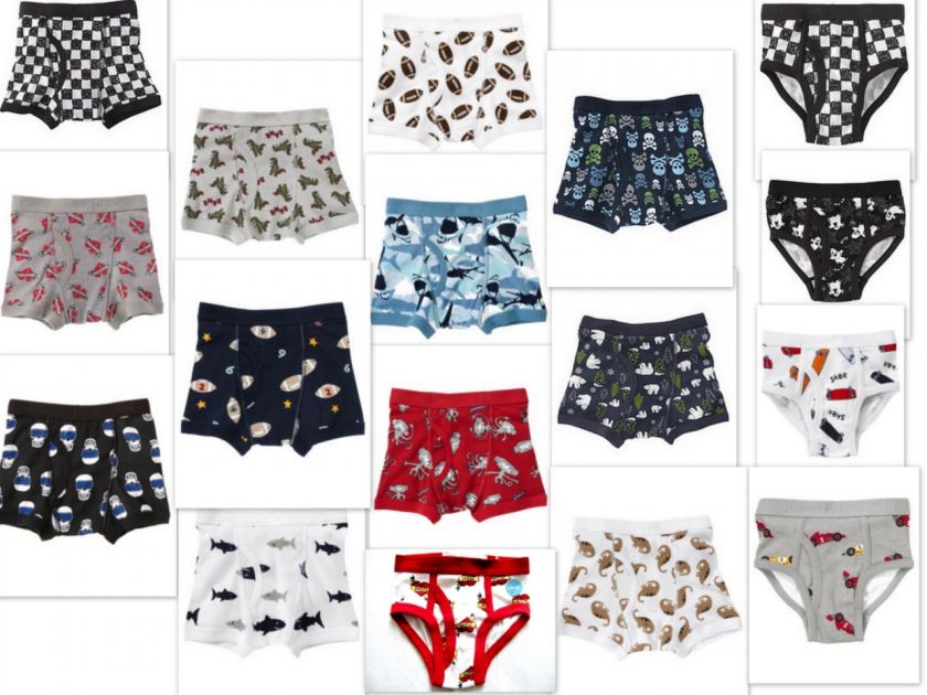 GYMBOREE Boys Underwear Boxers Briefs U PICK sz 2T 3T  