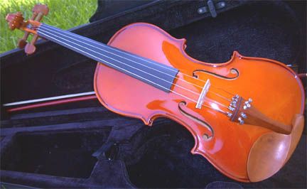 NEW ROSEWOOD 4/4 VIOLIN w/CASE.5 YEARS WARRANTY  