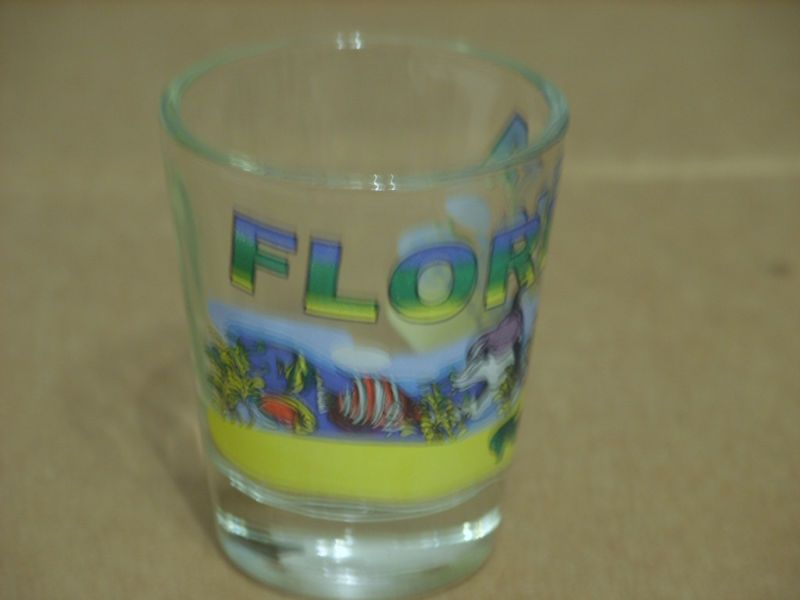 FLORIDA STATE COLLECTIBLE SHOT GLASS  