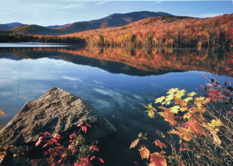 ADIRONDACK MOUNTAINS, NY HEART LAKE ~ 1000 PC. PUZZLE  