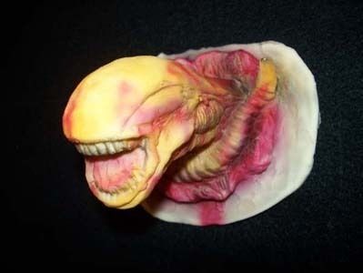 ALIEN Chestburster Replica Latex Figure Custome Aliens  