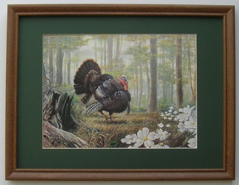 Turkey Gobbler Sprint Turkey Framed Picture Art  