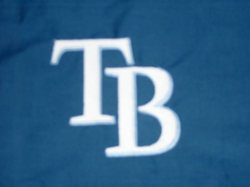 TAMPA BAY RAYS FLORIDA FABRIC LETTERS QUILT BLOCK 5 SET  