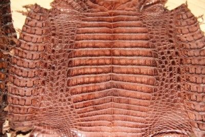 Genuine Caiman Crocodile Belly Skins matte set of two 9 x 30 each 