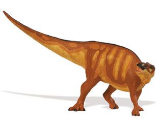 EDMONTOSAURUS Carnegie Museum Free Ship w/$25+SAFARI  