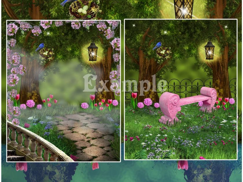 DIGITAL FANTASY BACKGROUNDS/ BACKDROPS/ photo props  