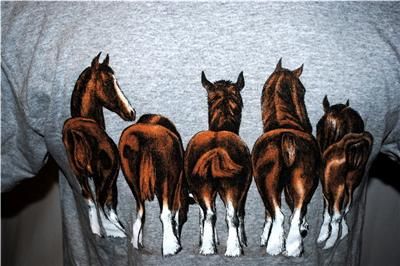 HORSES T SHIRT CLYDEDALES LOOKING FRONT AND THEIR BACK ENDS ON BACK 