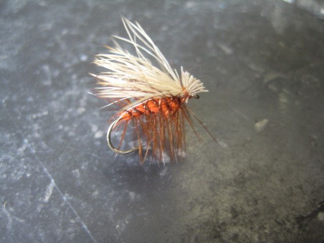 ELK HAIR CADDIS ORANGE #14 FRONTIER FLY FISHING FLIES  