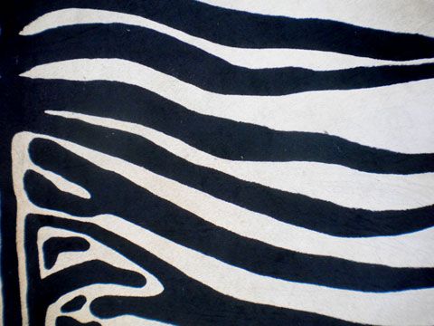 ZEBRA Print/Printed COWHIDE SKIN Rug COW HIDE DC3285  