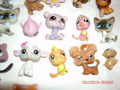 lot 50+ LPS LITTLEST PET SHOP dog~cat~turtle~bird~monkey figurine toys 