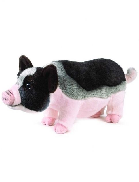 NWT Webkinz Signature Pot Bellied Pig ~ WKS1035 ~ Sealed / Unused Tag 