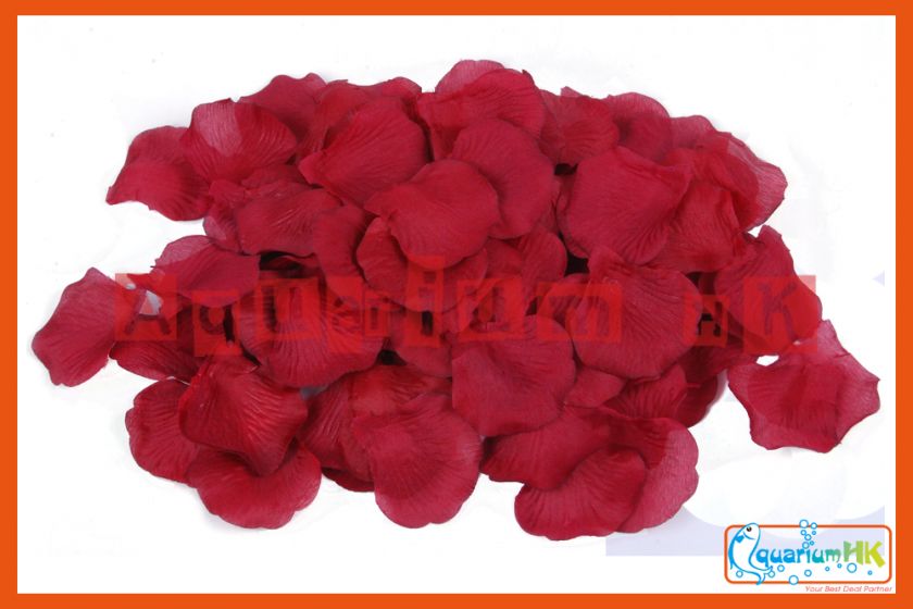 100 Silk Ruby Rose Petal Wedding Party Decoration A23  